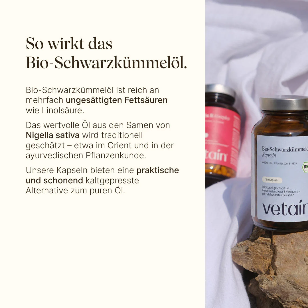 Vorschaubild 7