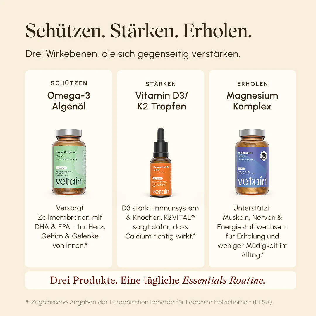 Vorschaubild 5