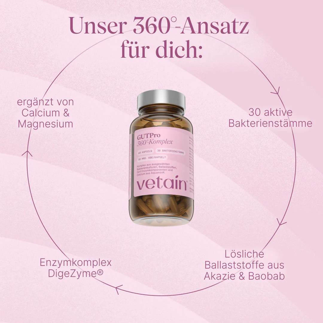 Vorschaubild 5