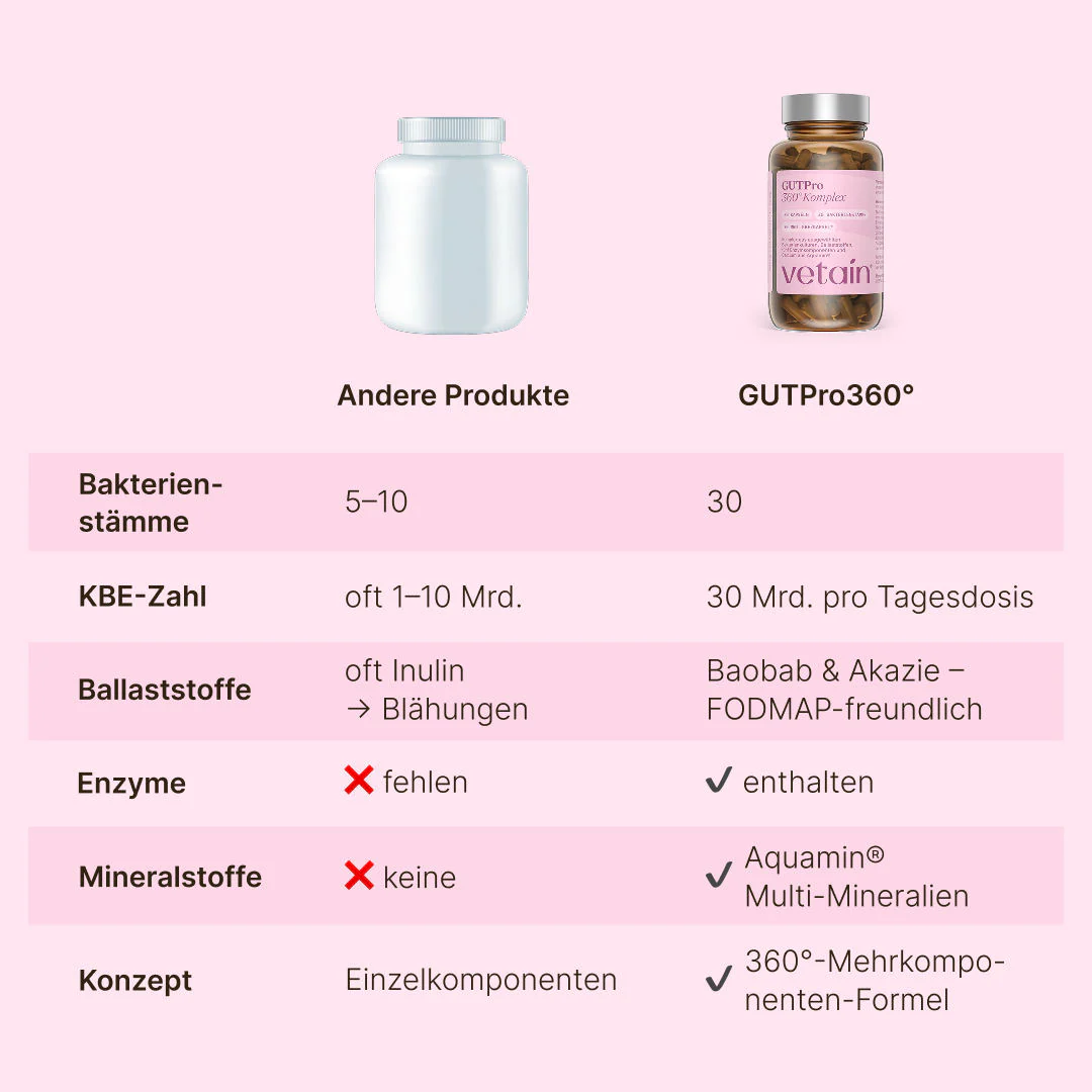 Vorschaubild 7
