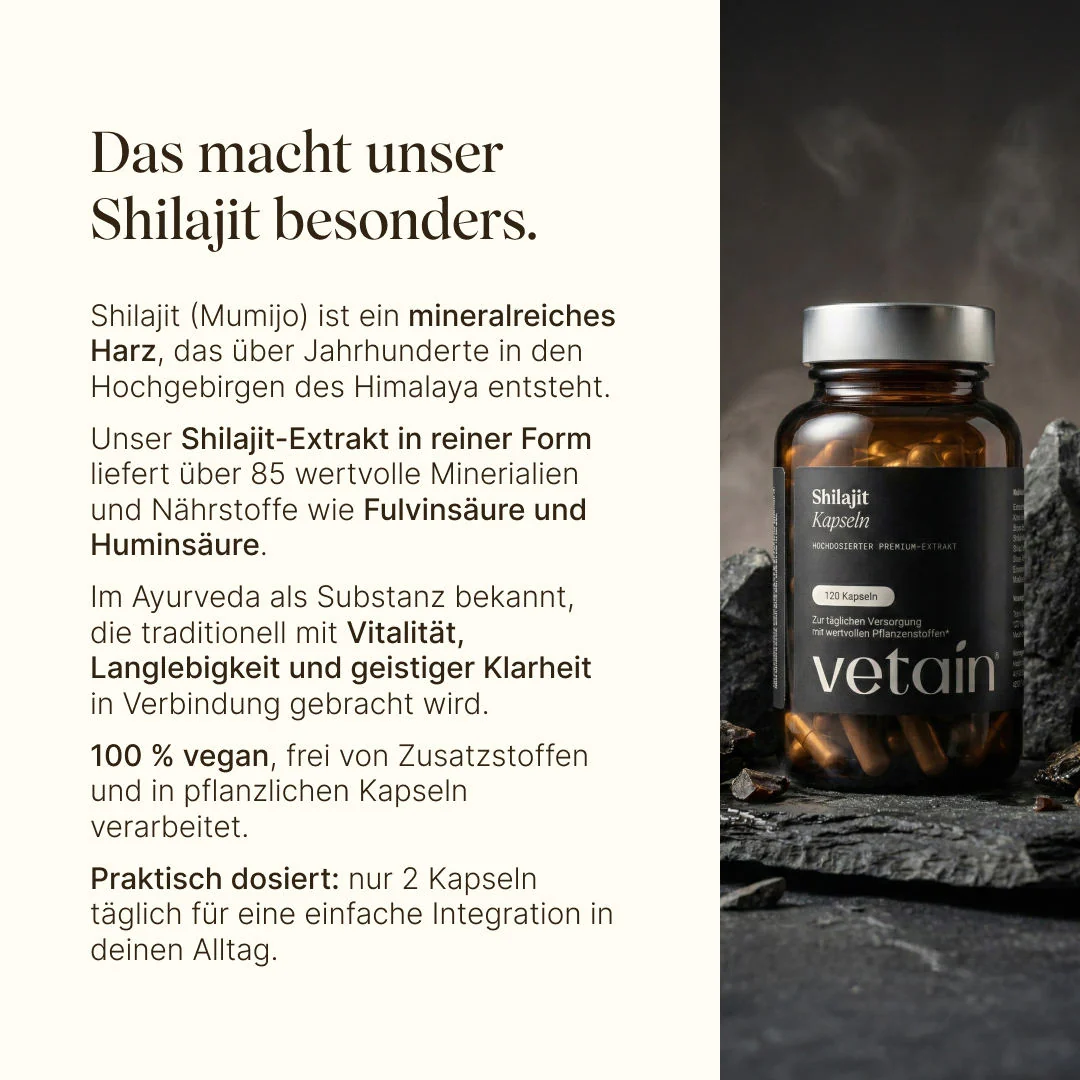 Vorschaubild 7