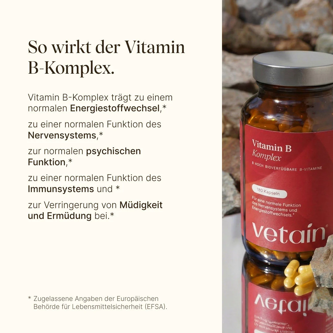 Vorschaubild 7